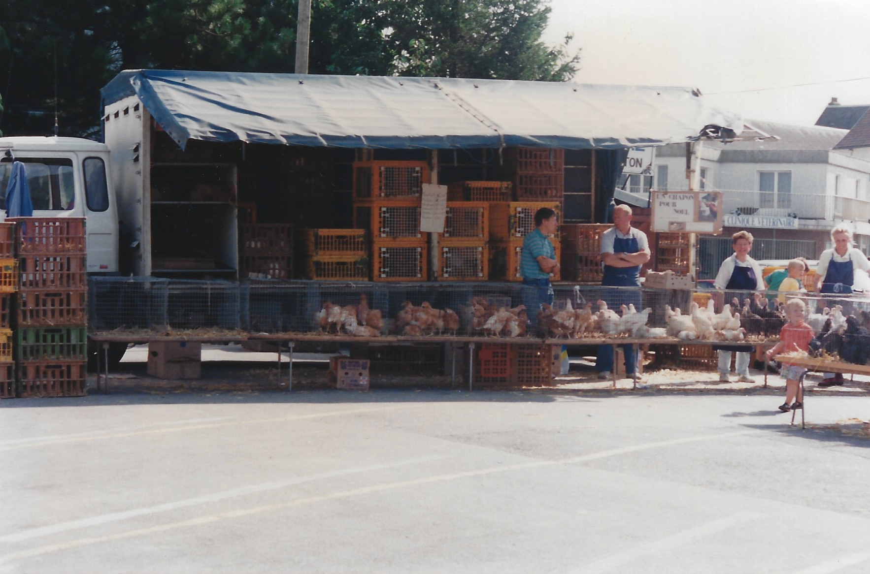 Vente de volailles au Marché