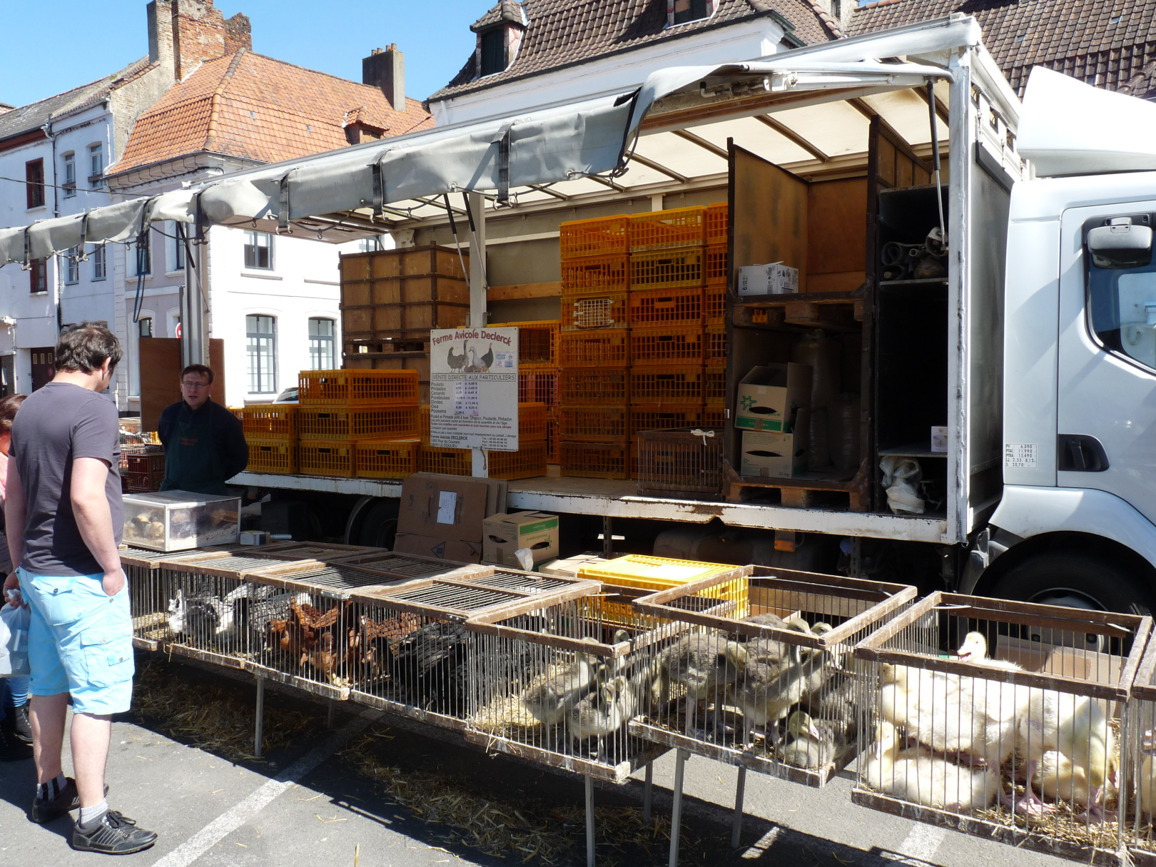 Vente de volailles au Marché